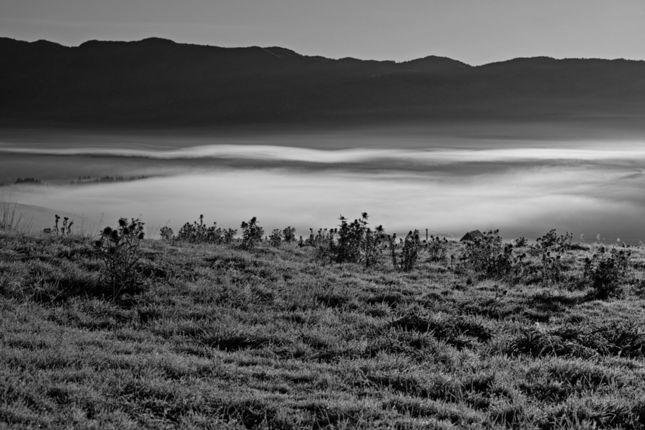 Cansiglio_DP3_2013-10-18_0007