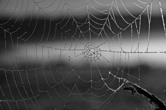 Cansiglio_DP3_2013-10-18_0019
