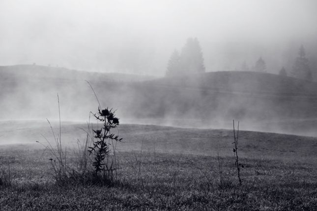 Cansiglio_DP3_2013-10-18_0027