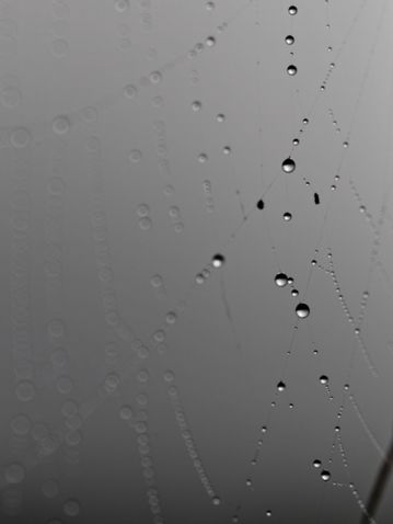 Cansiglio_SD1_2012-10-03_0019