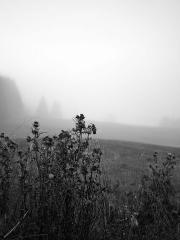Cansiglio_SD1_2016-10-04_0019