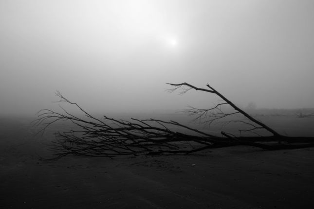 Caroman_DP1_2015-01-18_0004
