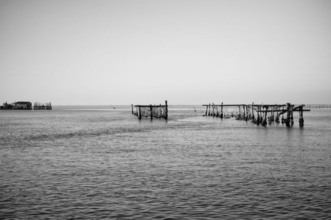 Caroman_DP3_2015-01-05_0013