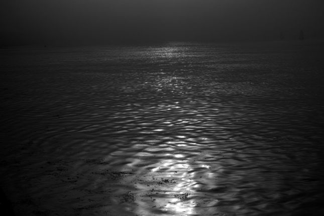 Caroman_DP3_2015-01-18_0060