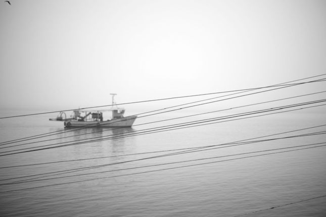 Chioggia_DP3_2015-11-13_0159