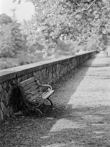 Contax G1_45mm_0001