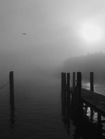 Chioggia_M9M_2024-01-31_0002