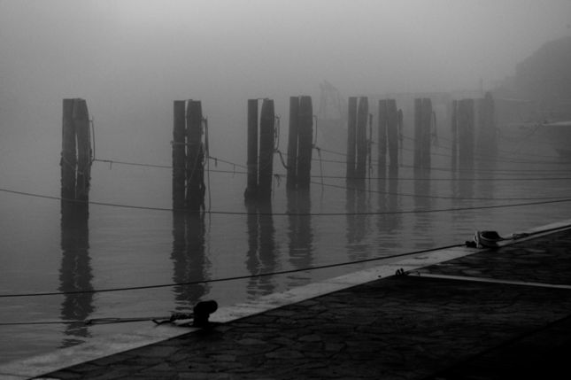 Chioggia_M9M_2024-01-31_0004