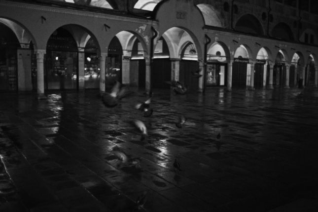 Padova_M9M_2023-10-22_0022