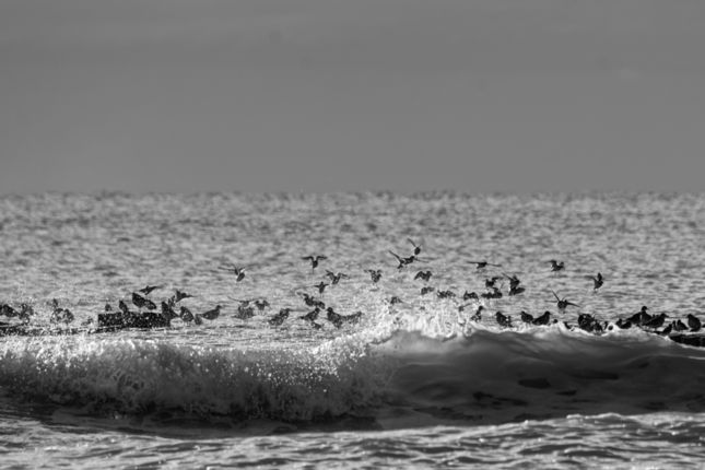 Bibione_X-Pro2_2022-01-06_0054