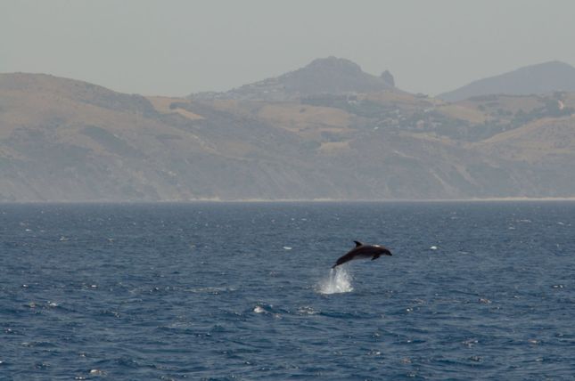 Tarifa_D300_2008-07-05_0117