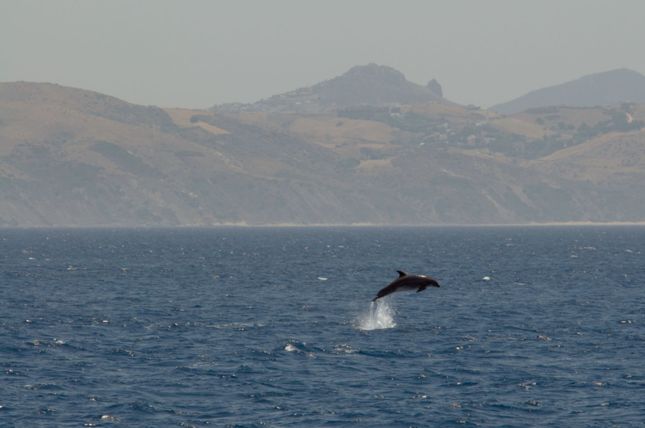 Tarifa_D300_2008-07-05_0117